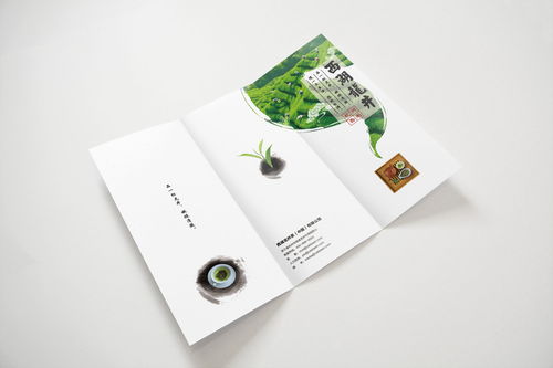 西湖龍井的平面設計藝術 視覺與茶香的交融